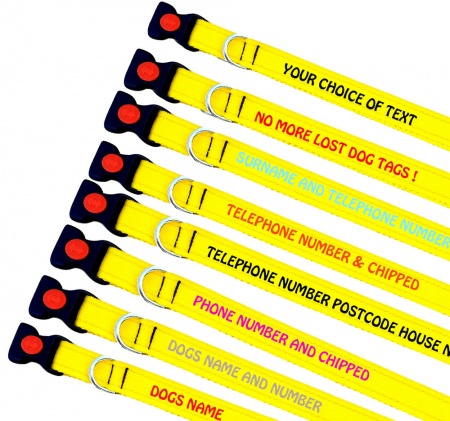 Yellow Embroidered Dog Collars Lightweight Range - Discounted Bulk Buy