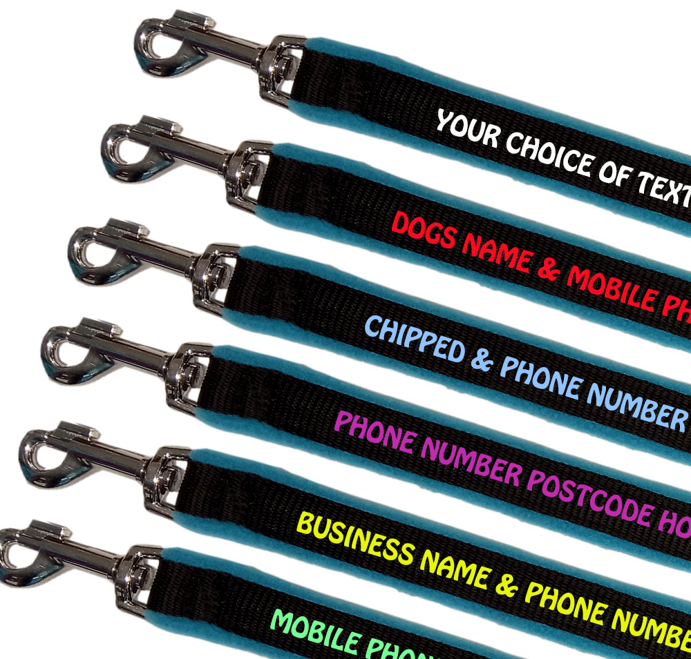 Embroidered Dog Leads Fleece Lined - Turquoise
