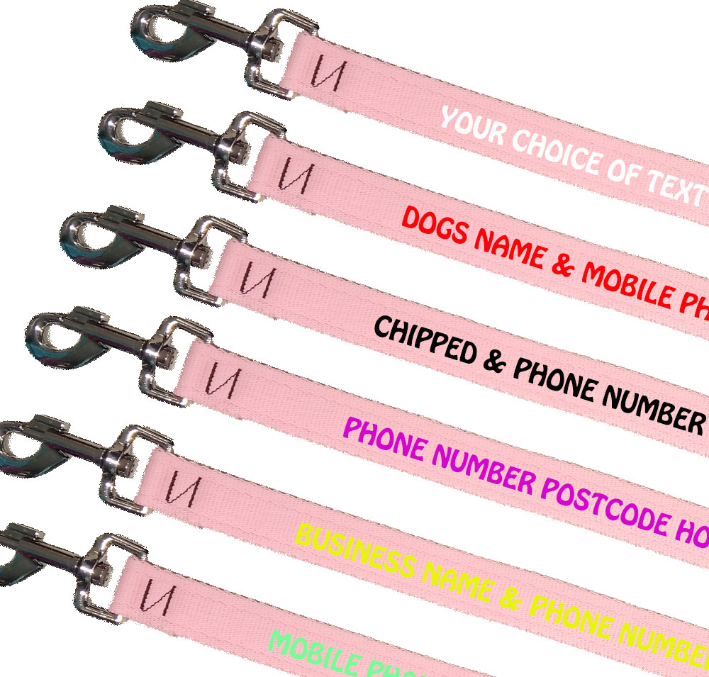 Embroidered dog leads outlet