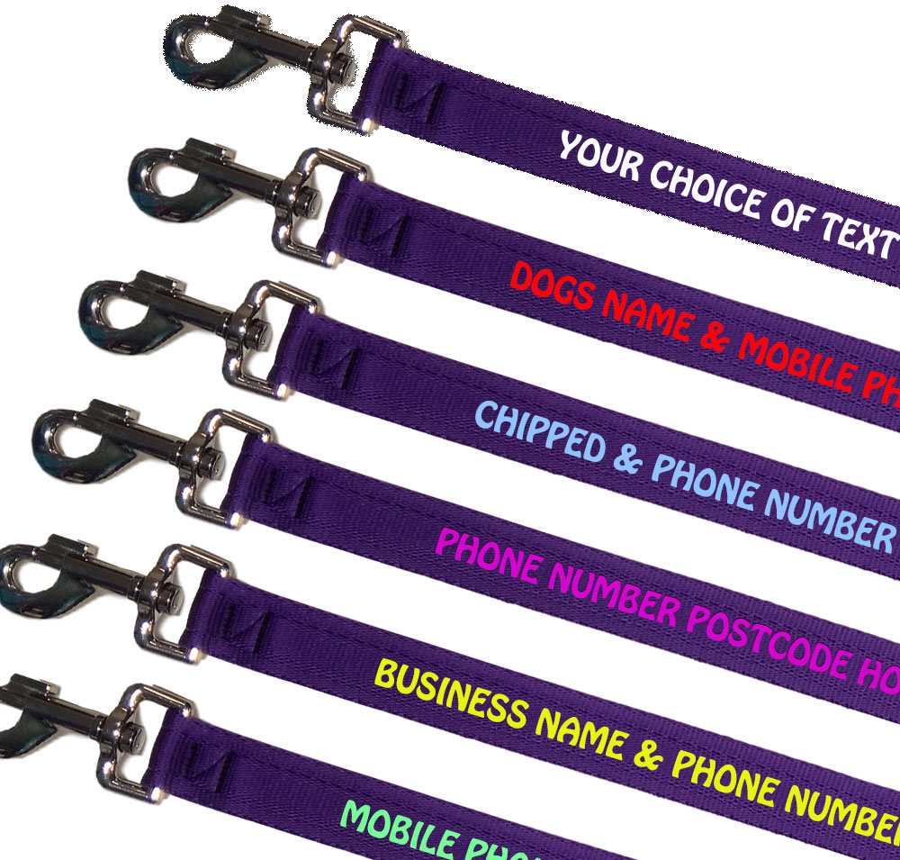 Embroidered Dog Leads Lightweight Range - Purple