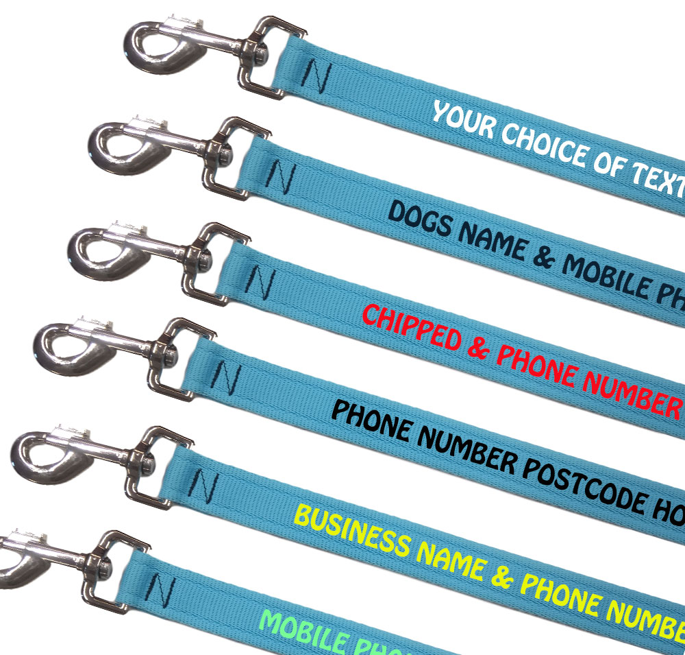 Embroidered Dog Leads Lightweight Range - Sky Blue