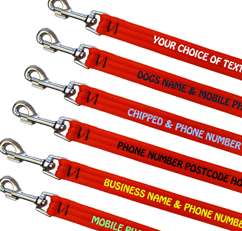 Embroidered Dog Leads Padded Webbing Range Medium Large Dogs - Orange