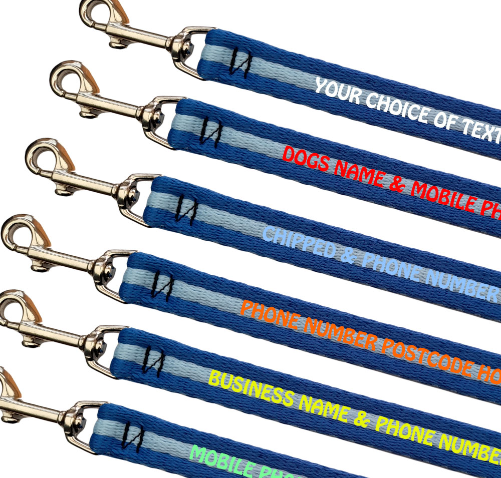 Embroidered Dog Leads Padded Webbing Range Small Dogs - Royal Sky Royal