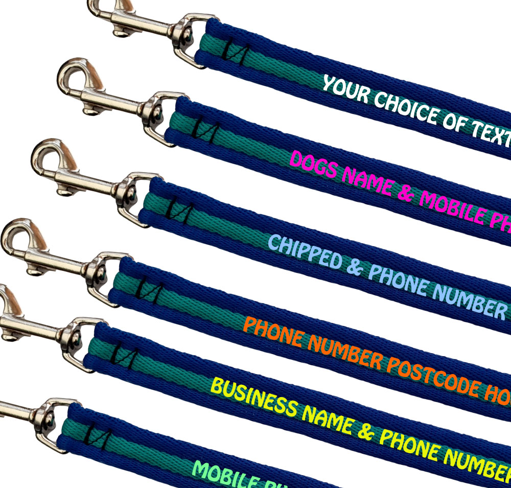 Embroidered Dog Leads Padded Webbing Range Medium Large Dogs - Royal Emerald