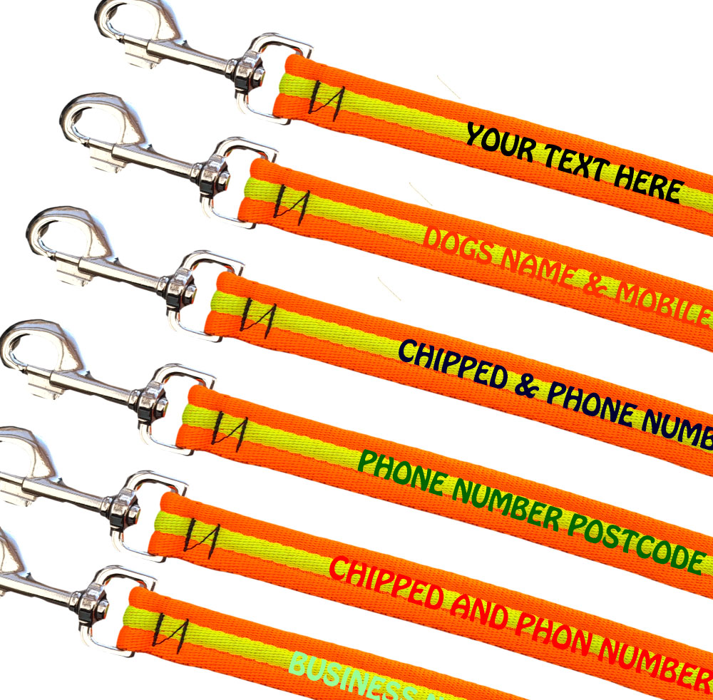 Personalised Dog Leads Padded Webbing Range Medium Large Dogs - Fluorescent