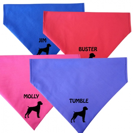 german shorthaired pointer collar