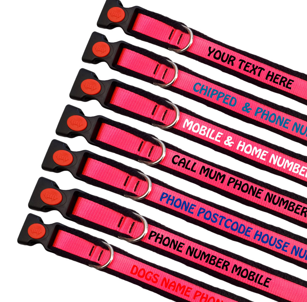 Personalised Dog Collars High Visibility Webbing Range - Pink