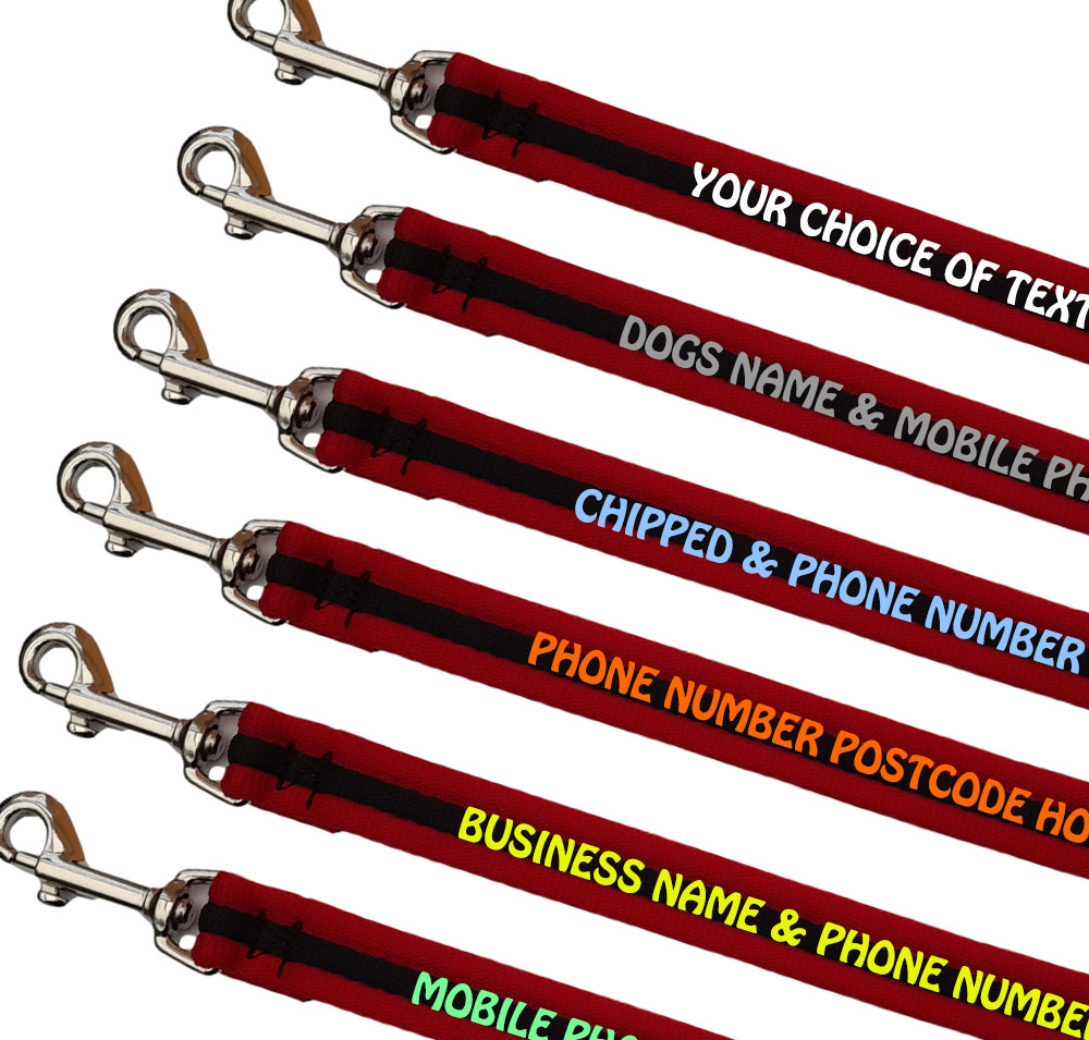 Personalised Dog Leads Padded Webbing Range Small Dogs - Red Black Red