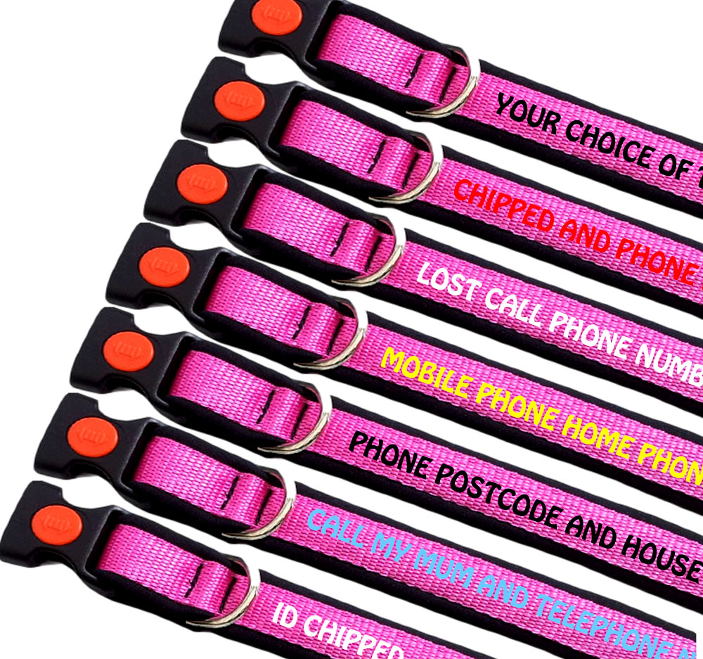 Embroidered Dog Collars Soft Shell Padded Lining Cerise bing