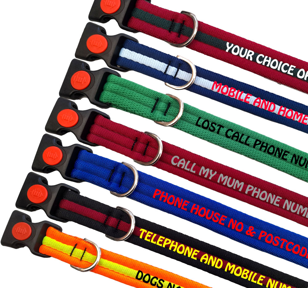 Personalised Dog Collars Padded Range For Medium Large Dogs |All Colours