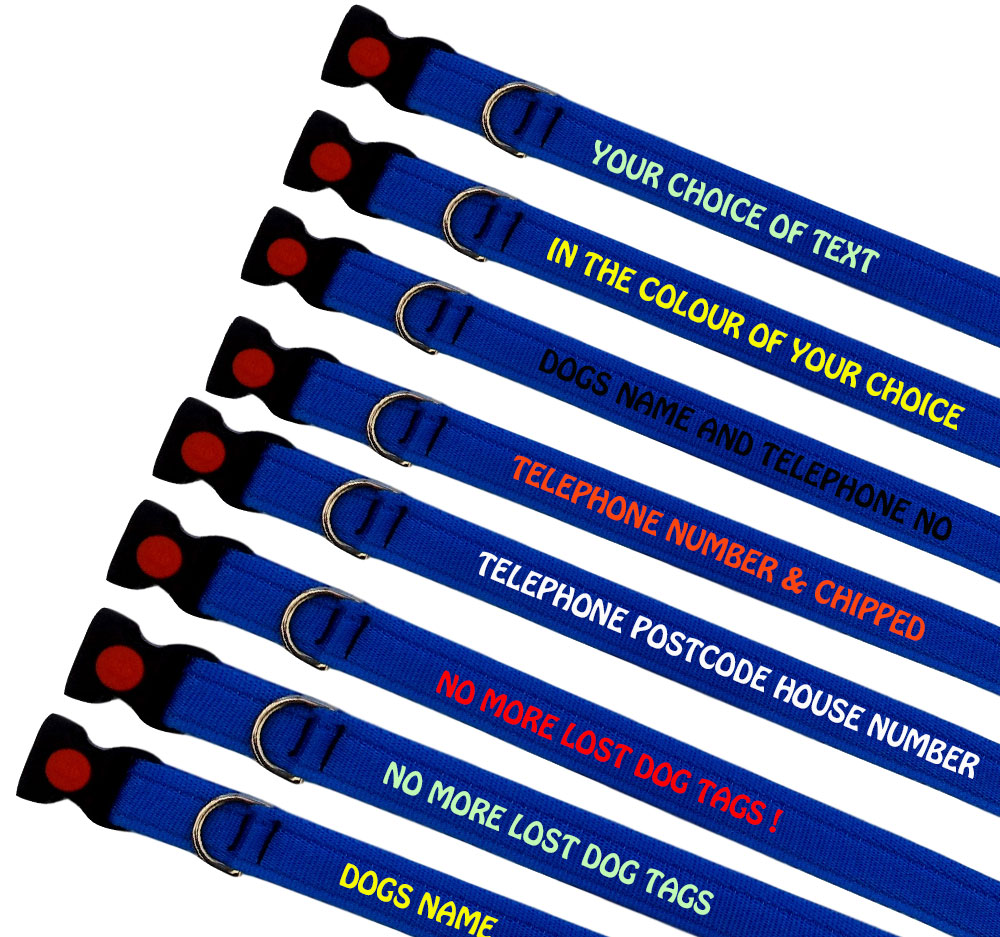 Royal Blue Embroidered Dog Collars Lightweight Range - Discounted Bulk Buy
