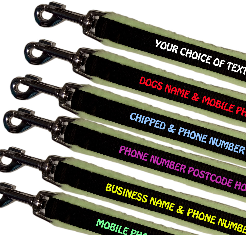Embroidered Dog Leads Fleece Lined - Pastel Lime