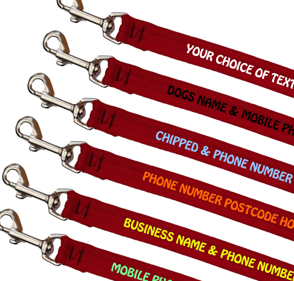 Embroidered Dog Leads Padded Webbing Range Small Dogs - Red