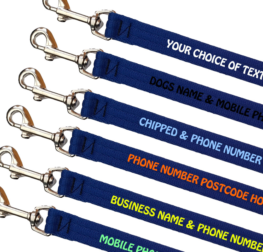 Embroidered Dog Leads Padded Webbing Range Small Dogs - Royal Blue