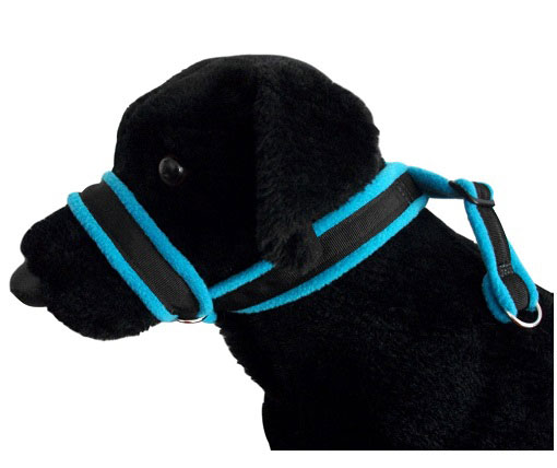 fleece lined dog collar