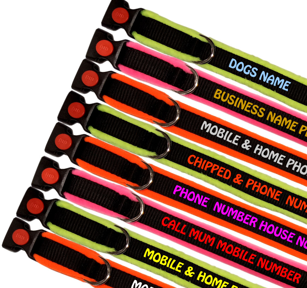 Embroidered High Visibility Fleece Lined Dog Collars
