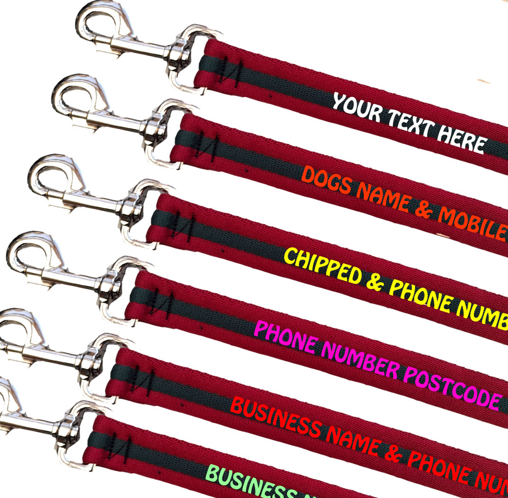 Embroidered Dog Leads Padded Webbing Range Medium Large Dogs - Maroon & Bottle