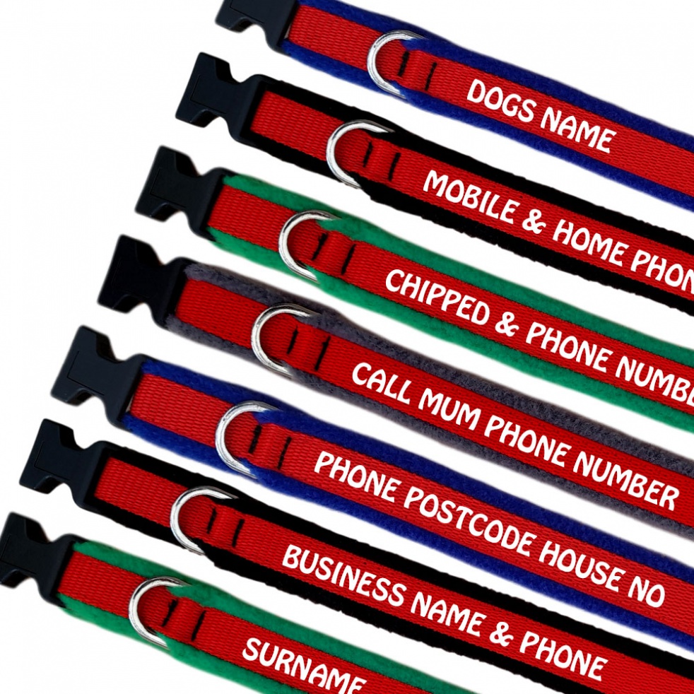 Personalised Dog Collars - Embroidered Your Text - Red Webbing -Sale