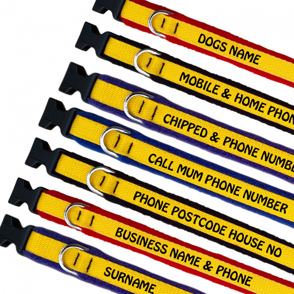 Embroidered Dog Collars - Embroidered Your Text - Yellow Webbing -Sale