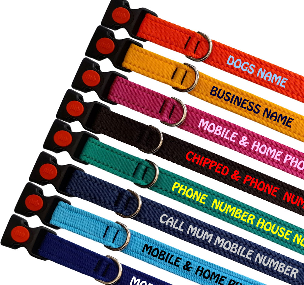Border Collie Personalised Lightweight Dog Collar | All Colours
