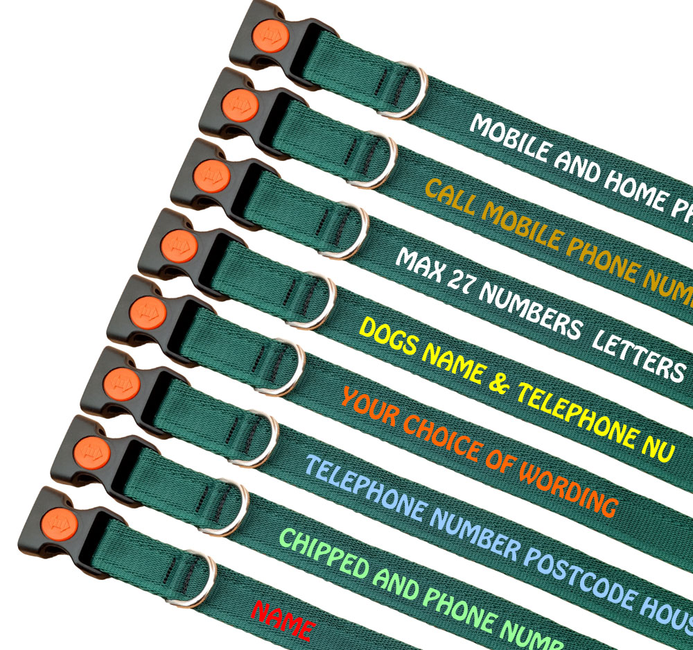 Personalised Dog Collars Lightweight Range Bottle Green