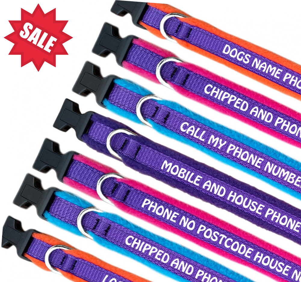 Embroidered Dog Collars - Personalised With Your Text - Purple Webbing -Sale