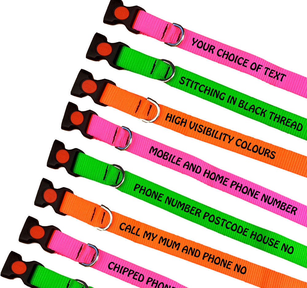 High Visibility Embroidered Dog Collars Range - Discounted Bulk Buy