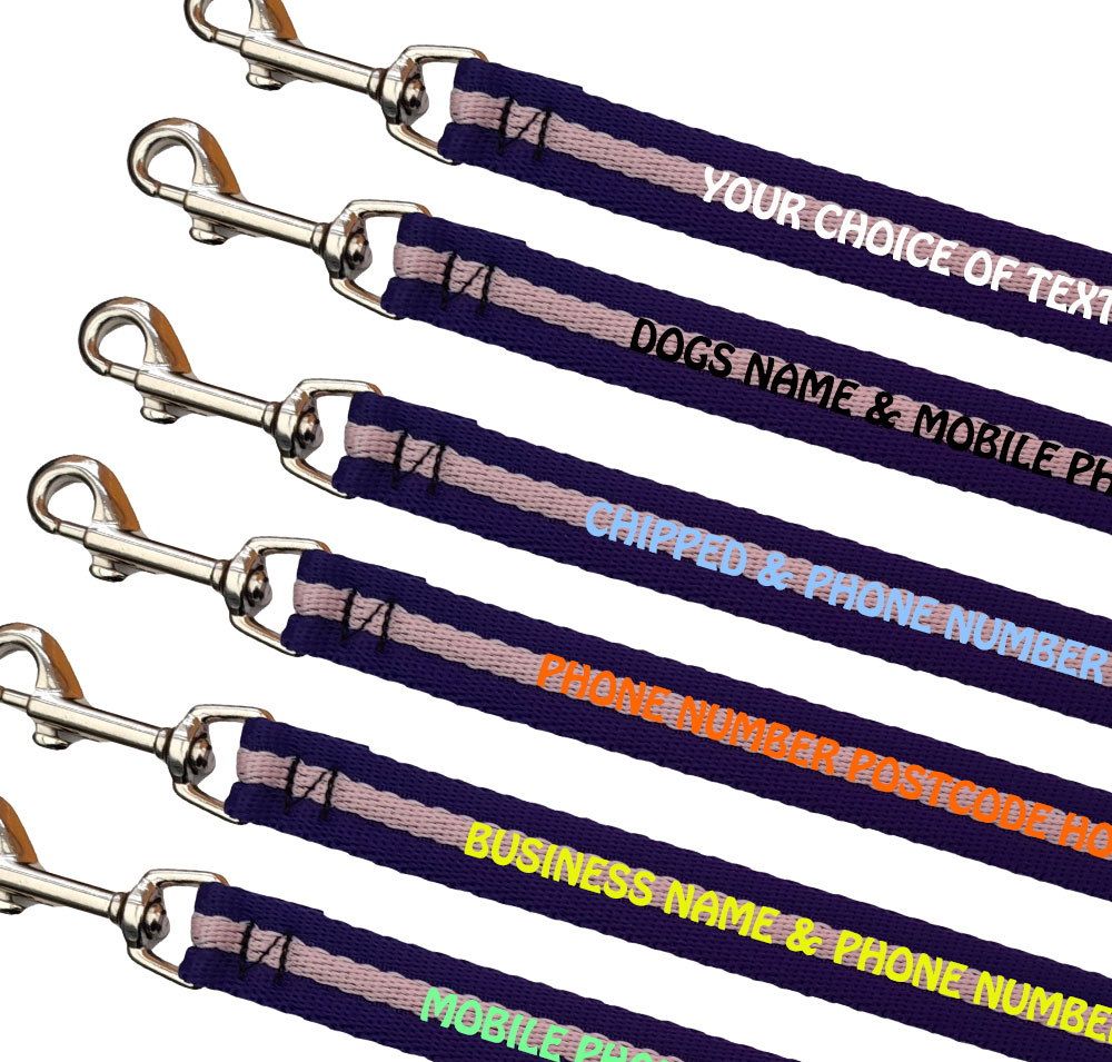 Personalised Dog Leads Padded Webbing Range Small Dogs - Purple Pale Pink