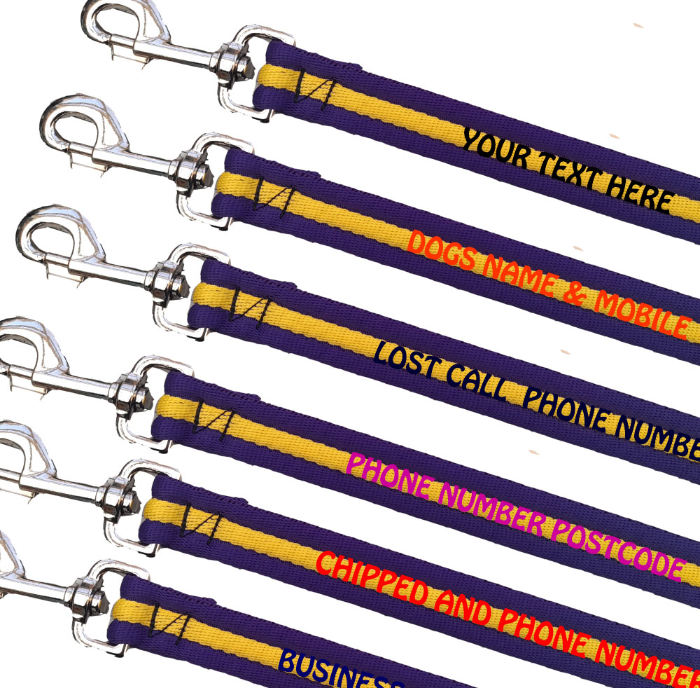 Embroidered Dog Leads Padded Webbing Range Medium Large Dogs - Purple Yellow Purple