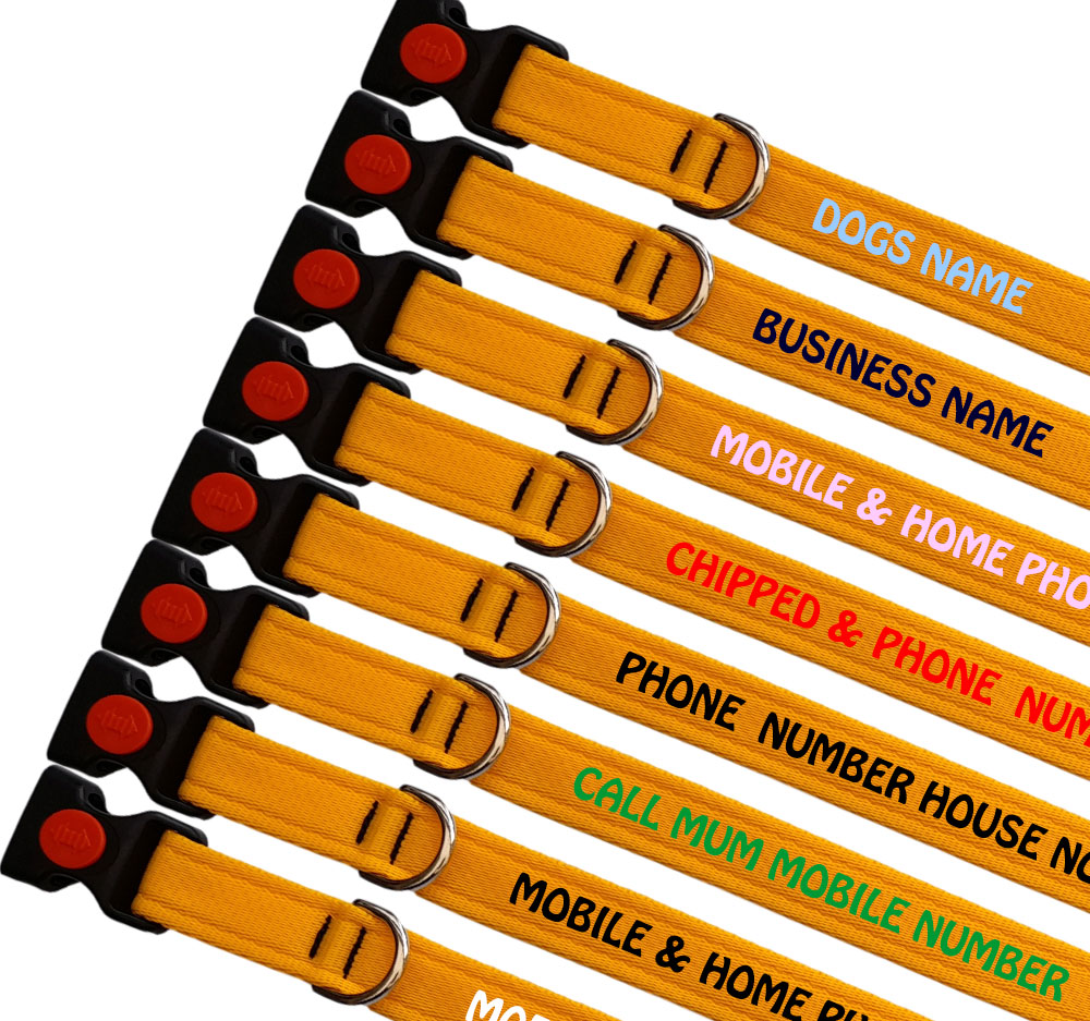 St Bernard Personalised Dog Collars Lightweight Range | All Colours