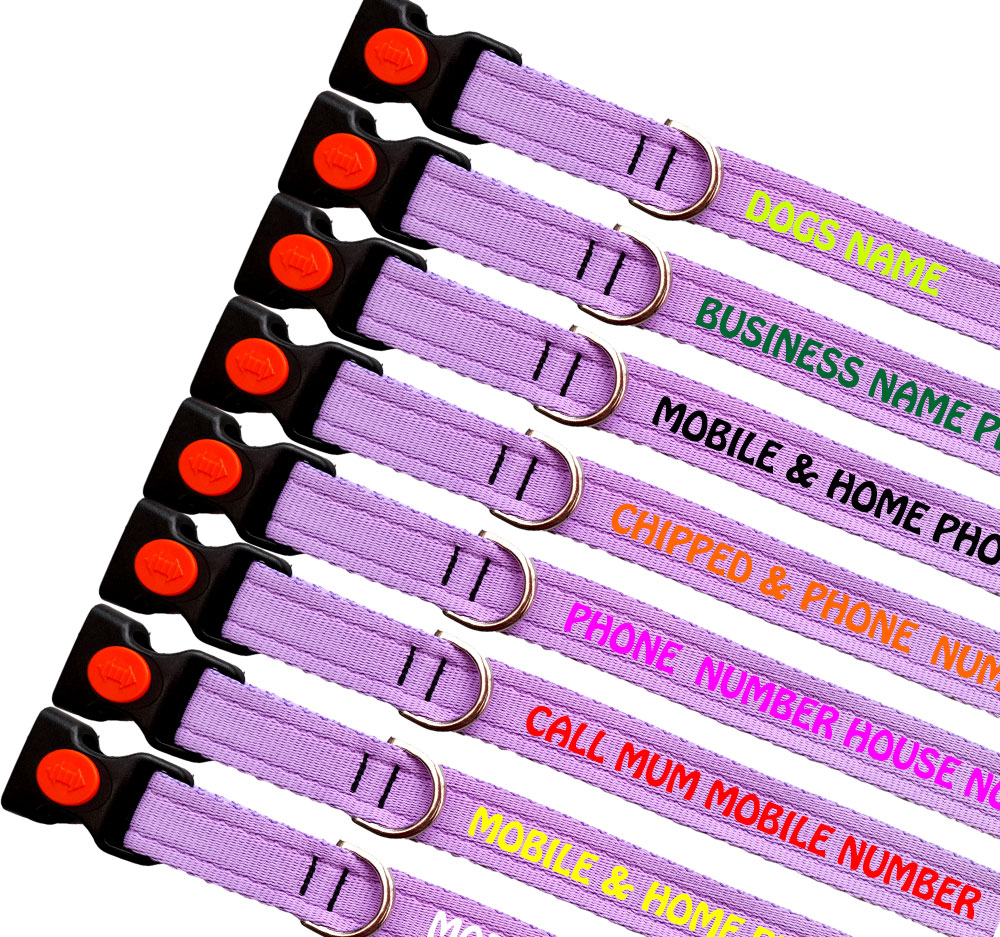 Embroidered Dog Collars Lightweight Webbing Lilac