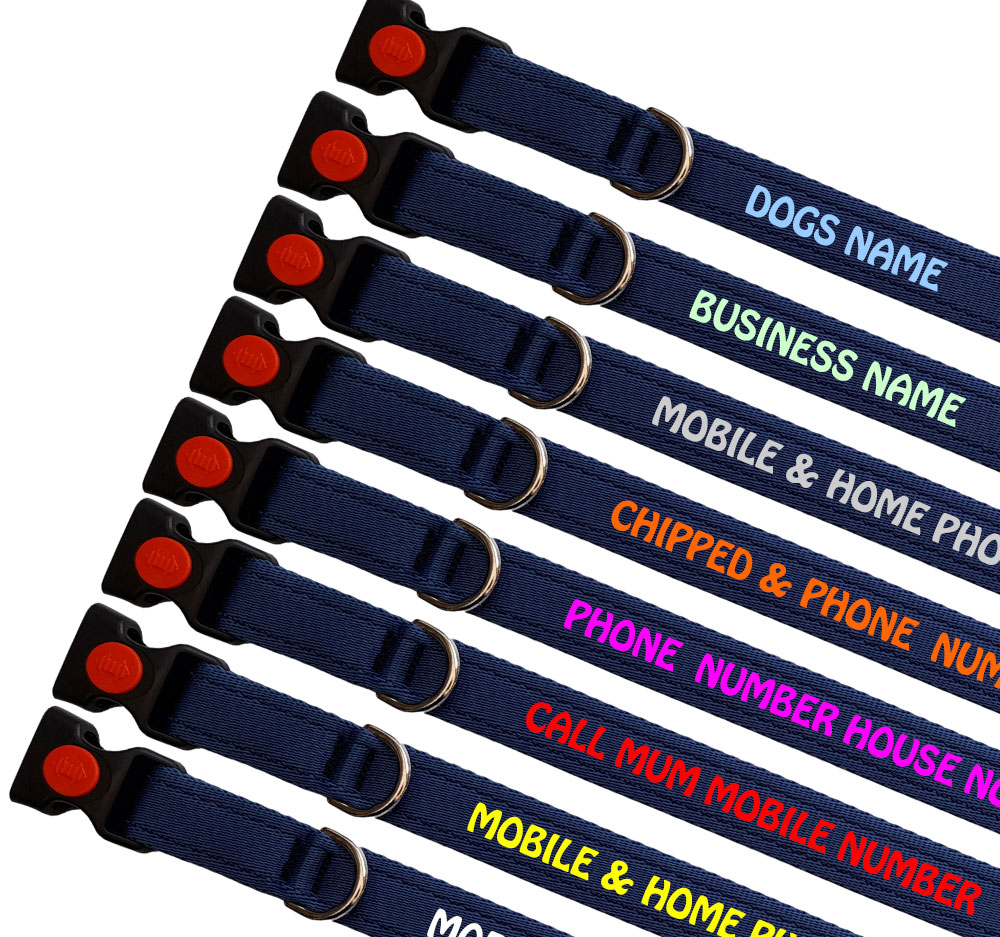 Embroidered Dog Collars 24 Hr Dispatch 100 Quality UK Company