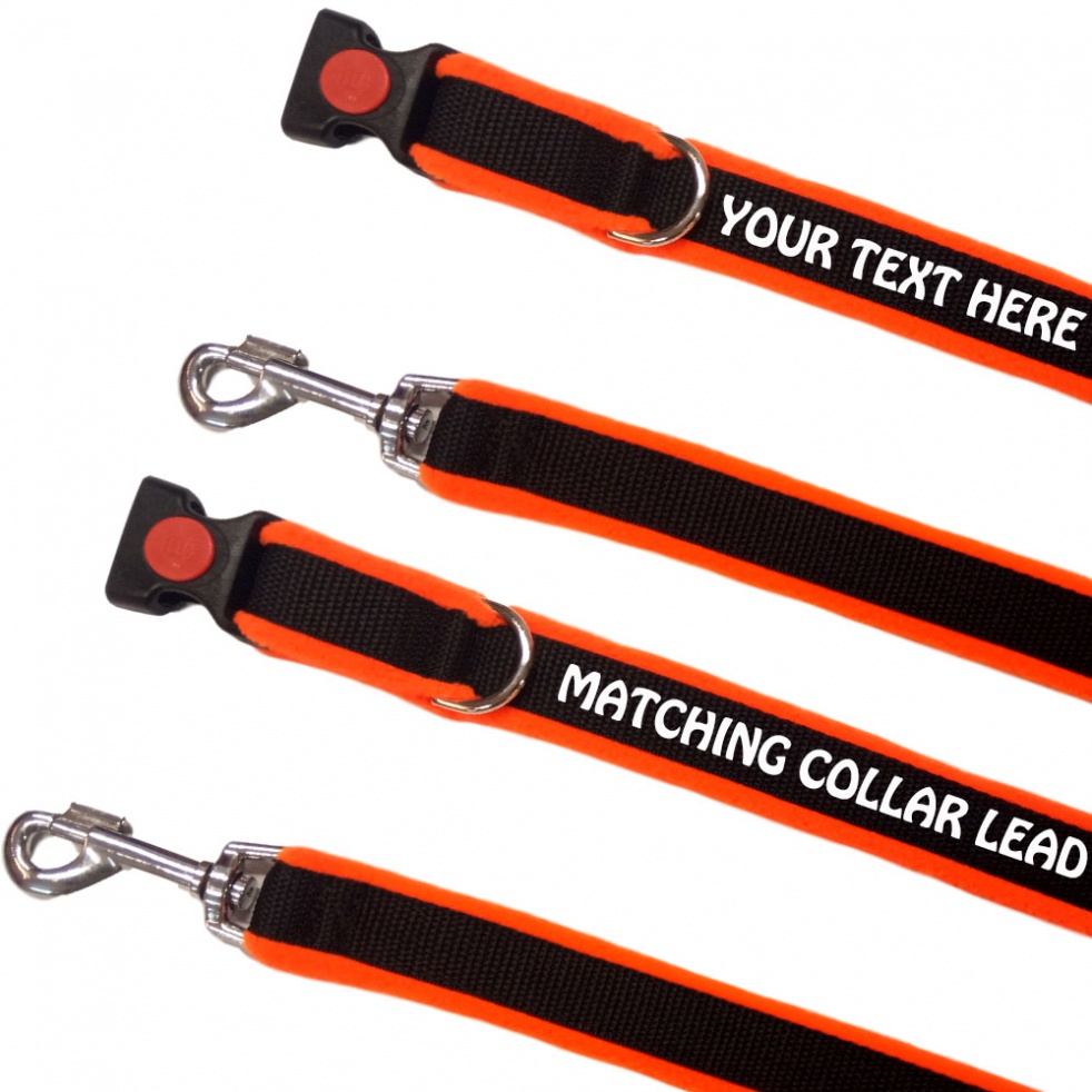 Reduced Embroidered Dog Collars