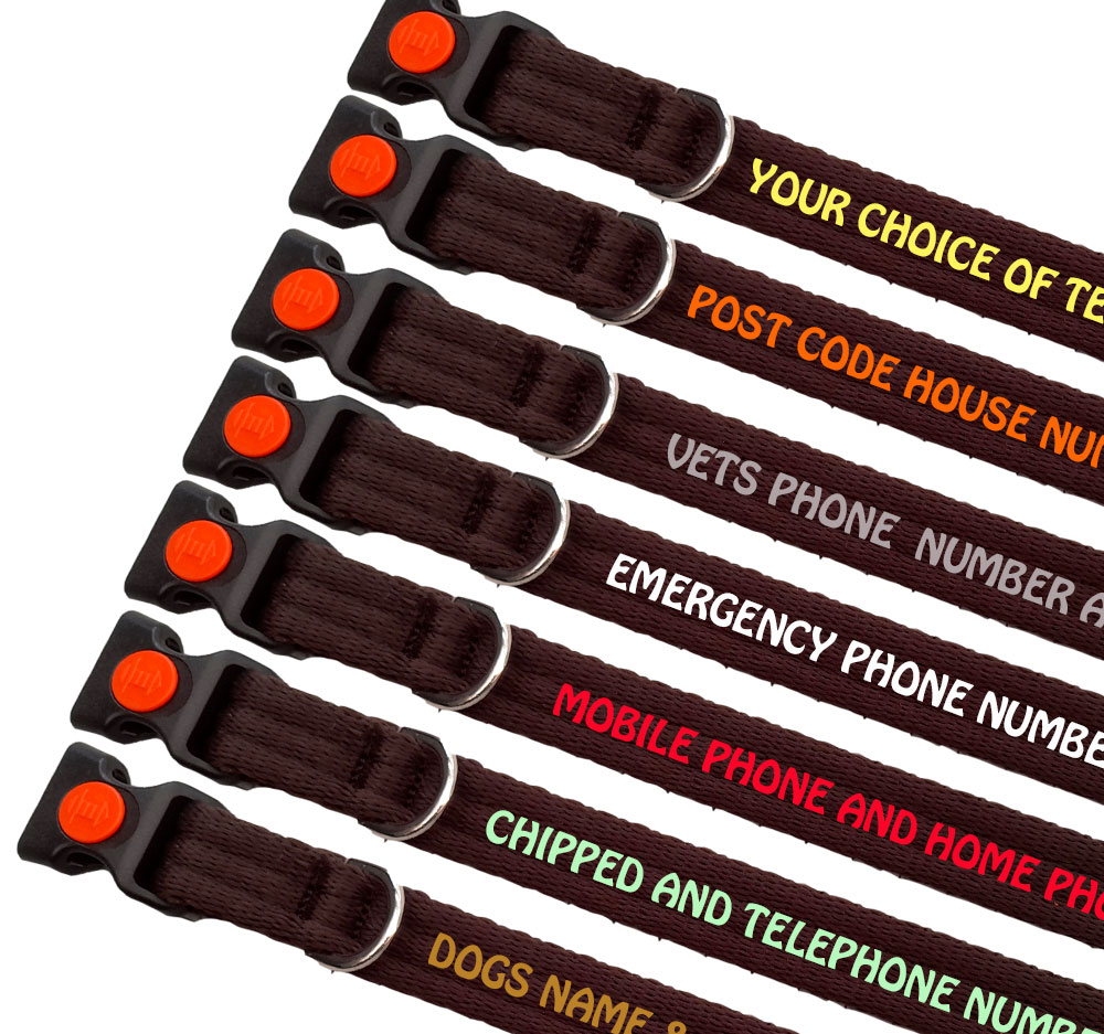 Personalised Dog Collars Padded Range For Small Dogs - Colour Brown