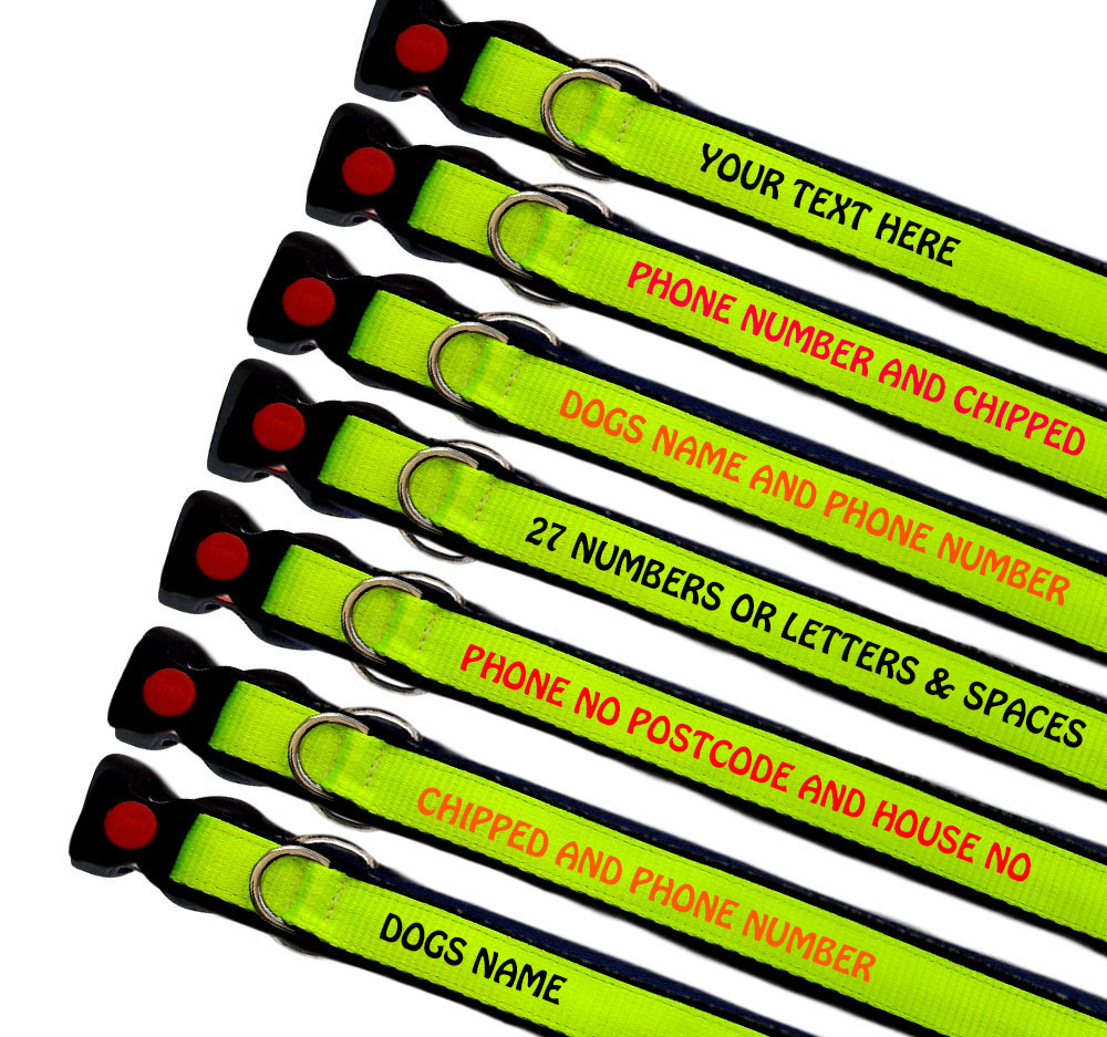 High Visibility Webbing Fleece Lined Personalised Dog Collars
