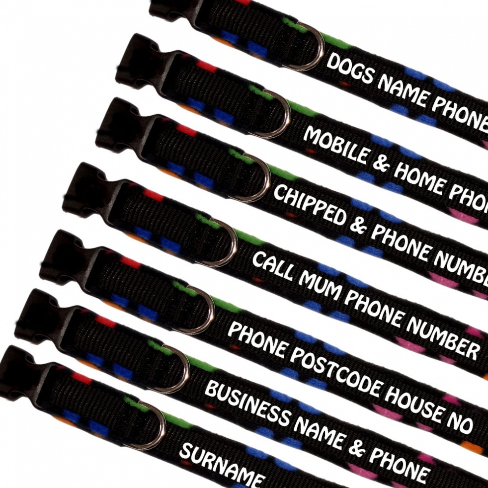 Embroidered Dog Collars Fleece Lined Range | Black Paws Design | Sale