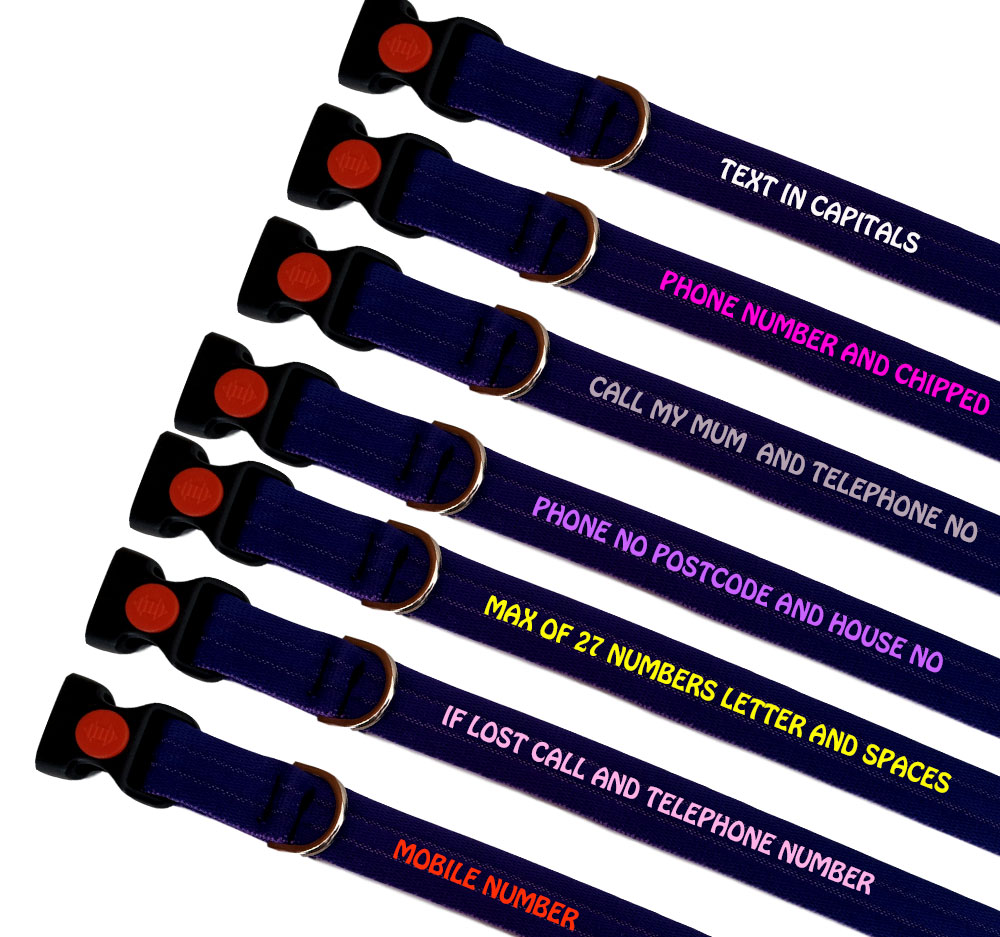 Personalised Dog Collars Padded Range For Medium Large Dogs |Purple