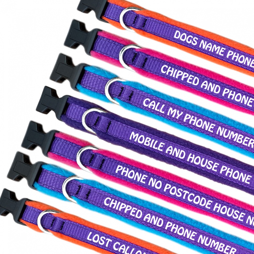 Embroidered Dog Collars - Embroidered Your Text - Purple Webbing -Sale
