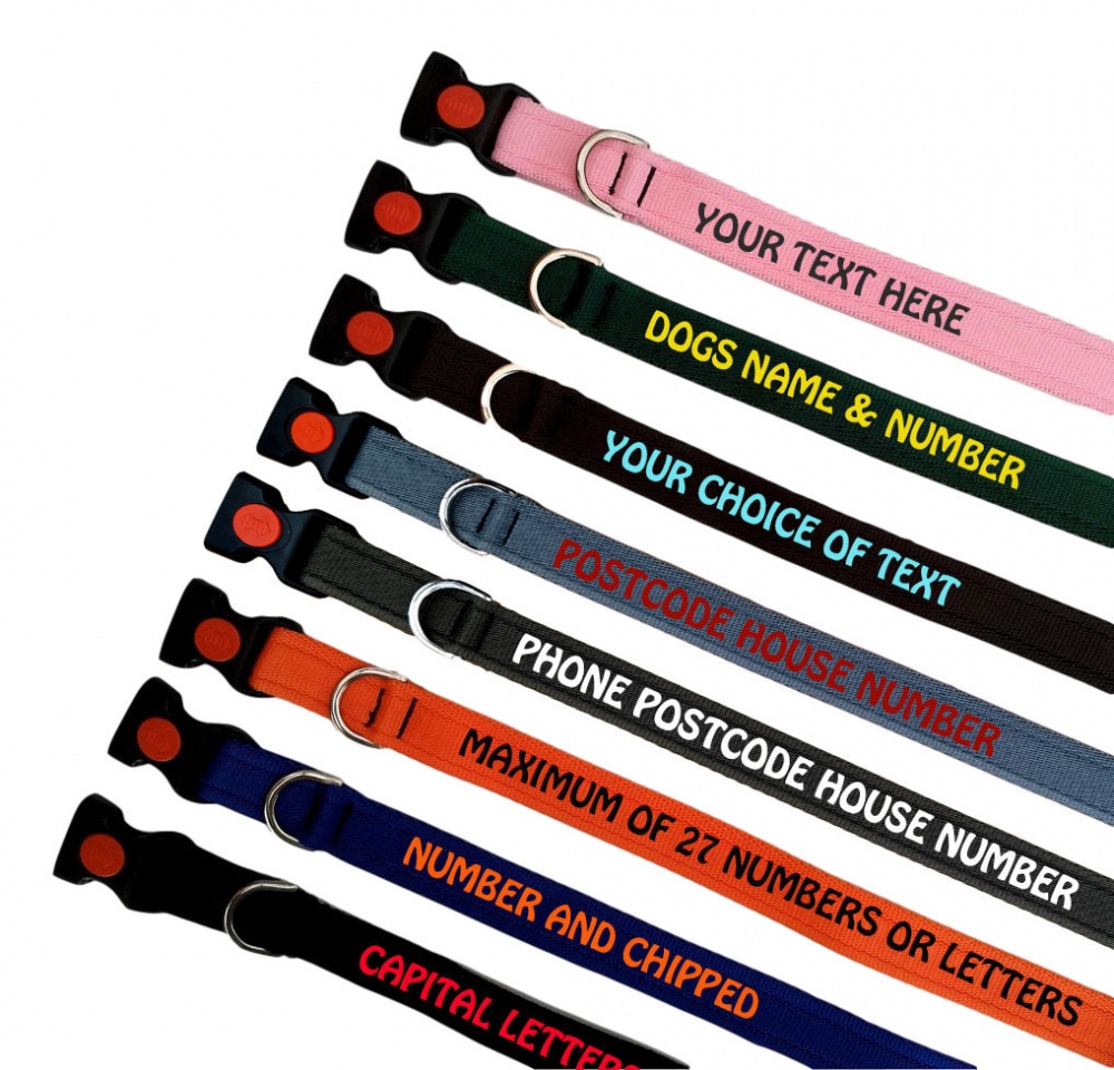 Embroidered Dog Collars Lightweight Range | All Colours