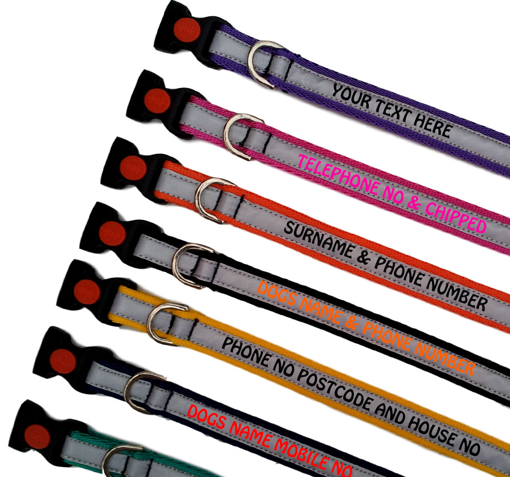 Personalised Lightweight Reflective Dog Collars | All Colours