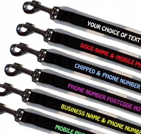 Personalised Dog Leads Fleece Lined - Blue Hearts