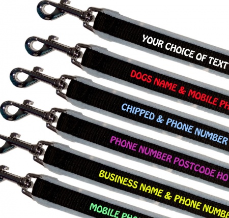 Personalised Dog Leads Fleece Lined - Light Blue Stars