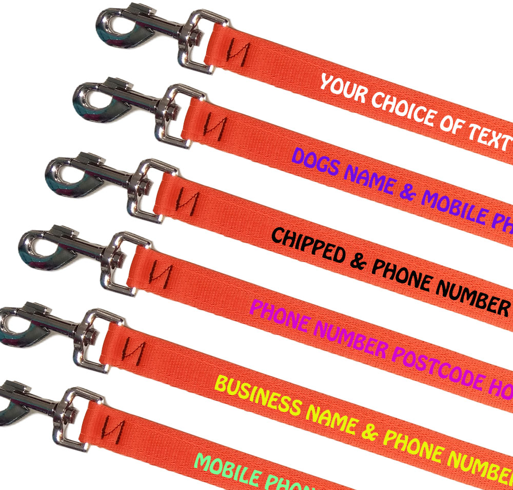 Personalised Dog Leads Lightweight Range - Orange