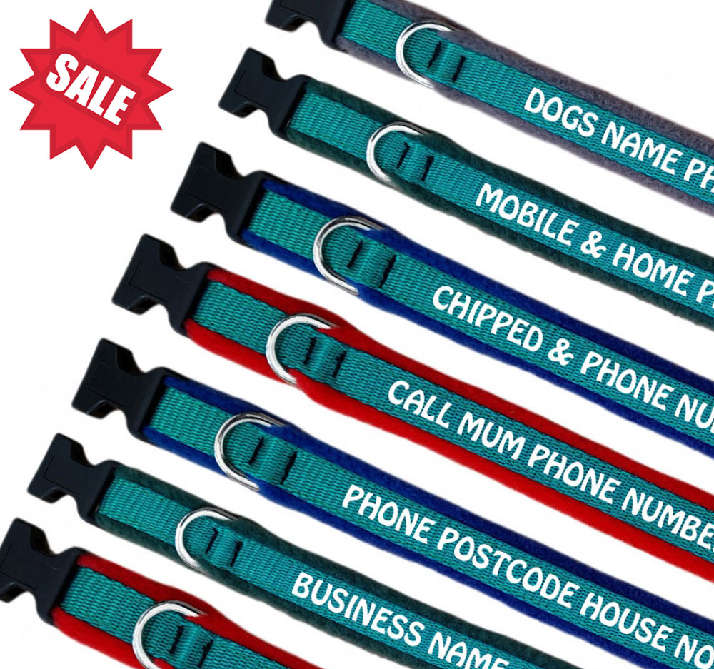 Embroidered Dog Collars - Embroidered Your Text - Emerald Webbing -Sale