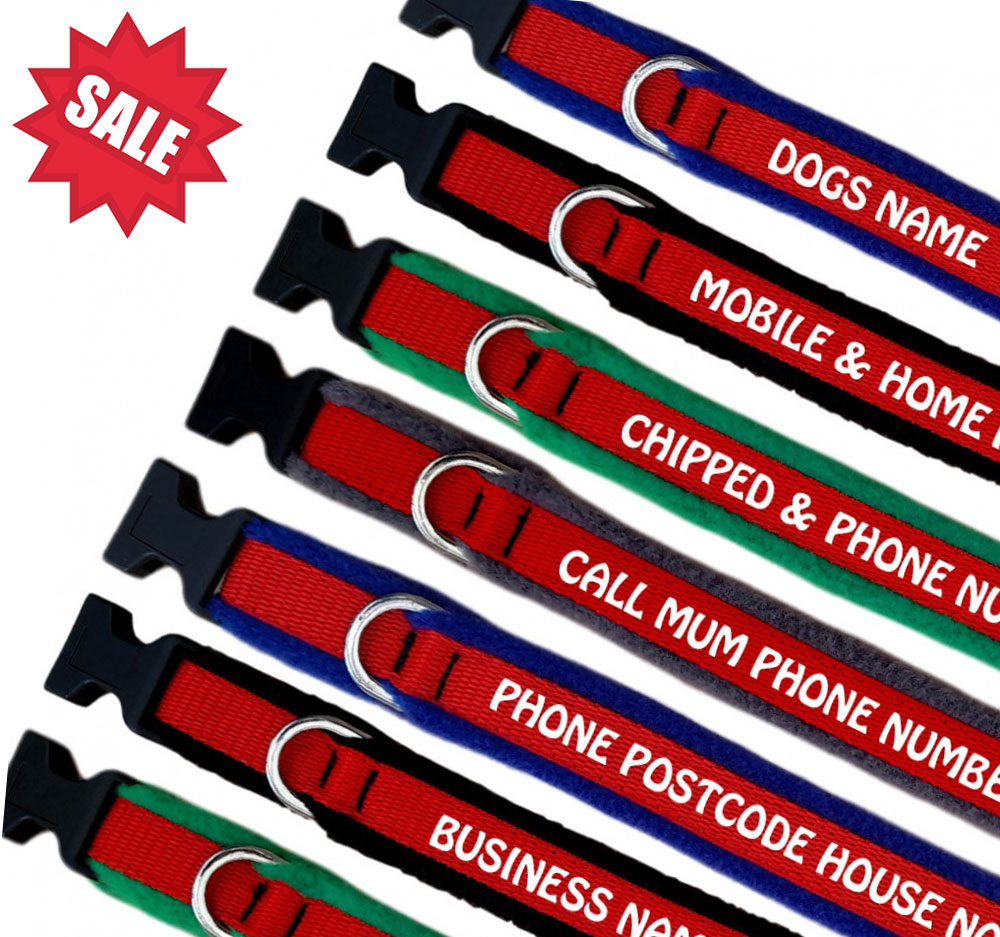 Embroidered Dog Collars - Personalised With Your Text - Red Webbing -Sale