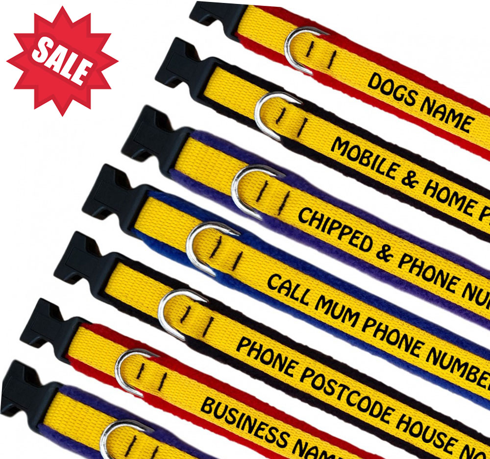 Embroidered Dog Collars - Embroidered Your Text - Yellow Webbing -Sale