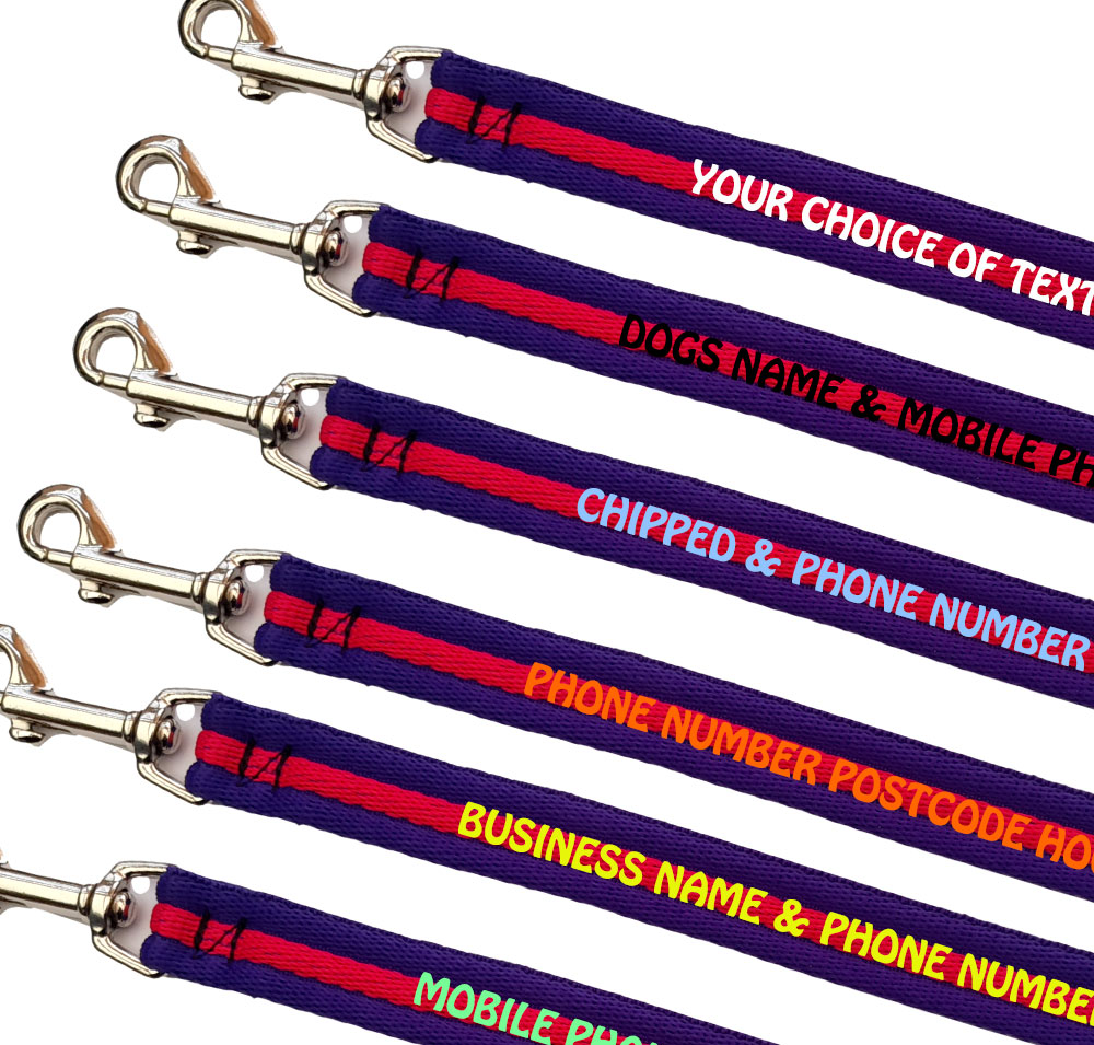 Personalised Dog Leads Padded Webbing Range Small Dogs - Purple Cerise Purple