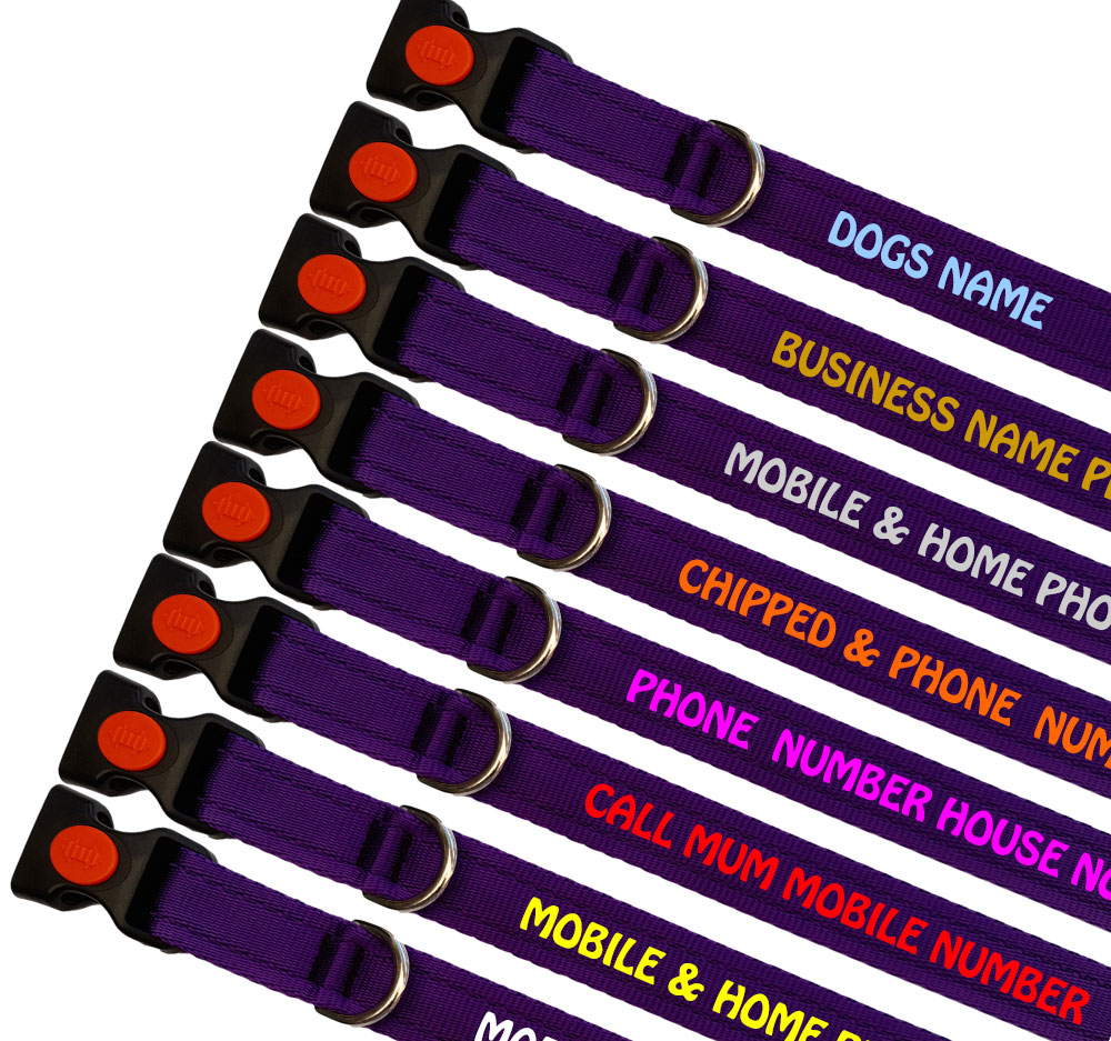 Personalised Dog Collars | Lightweight Range |Purple