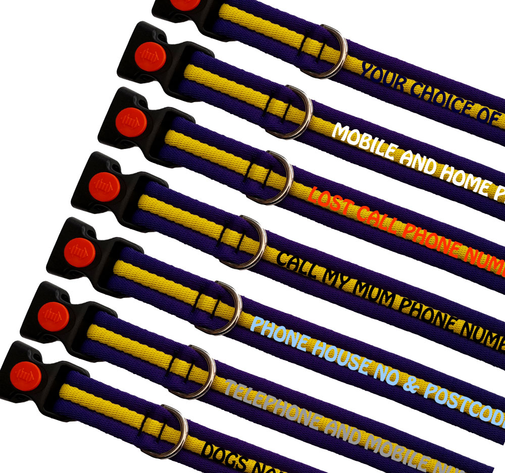 Personalised Dog Collars Padded Range For Medium Large Dogs - Colour Purple Yellow Striped