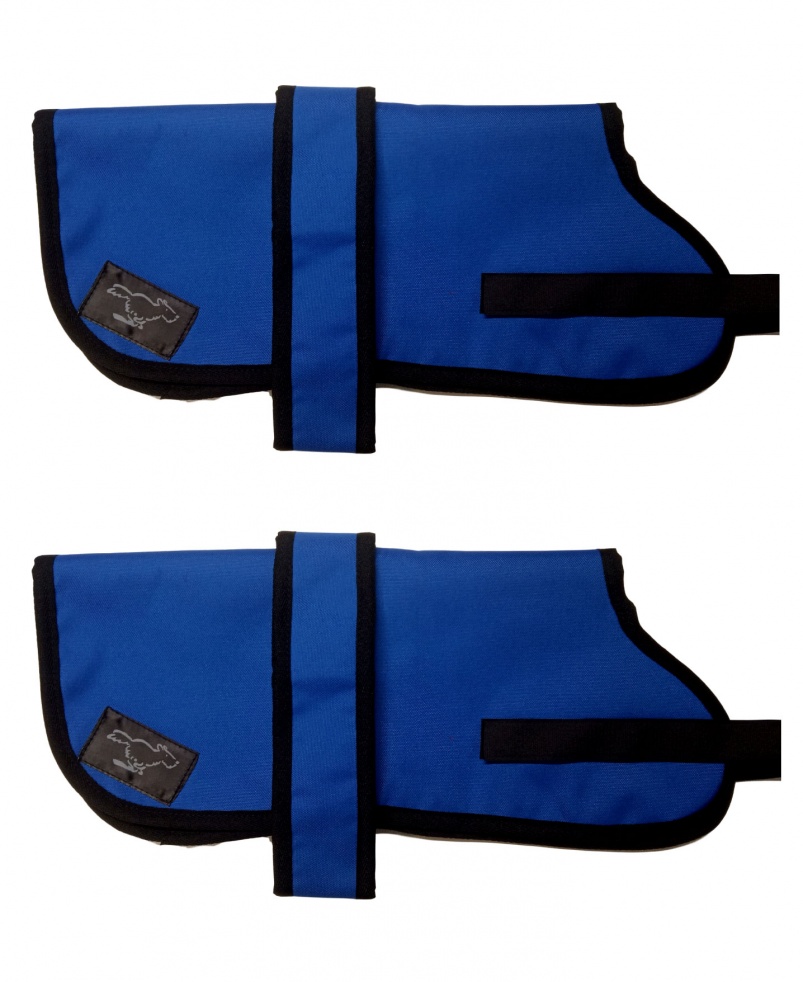 Boxer Personalised Waterproof Dog Coats | Royal Blue